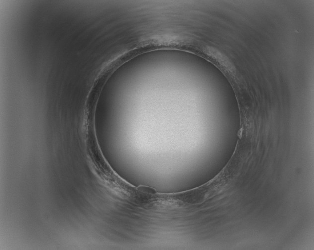 X0000072970583200607211225