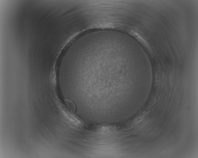 X0000072970584200607211225