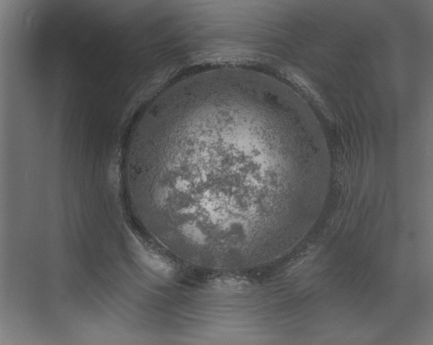 X0000072970586200607211225