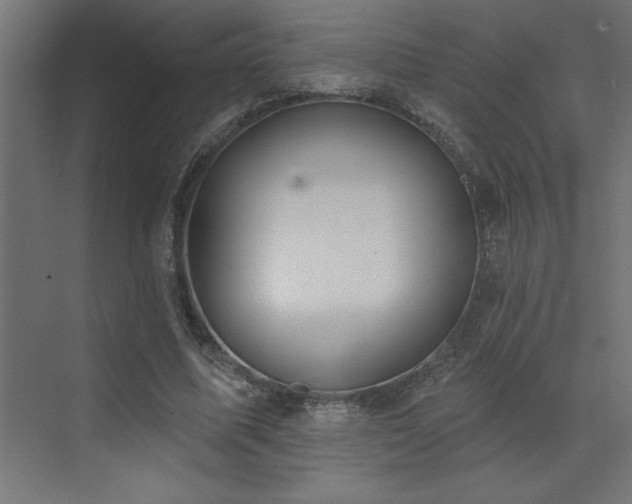 X0000072970587200607211225