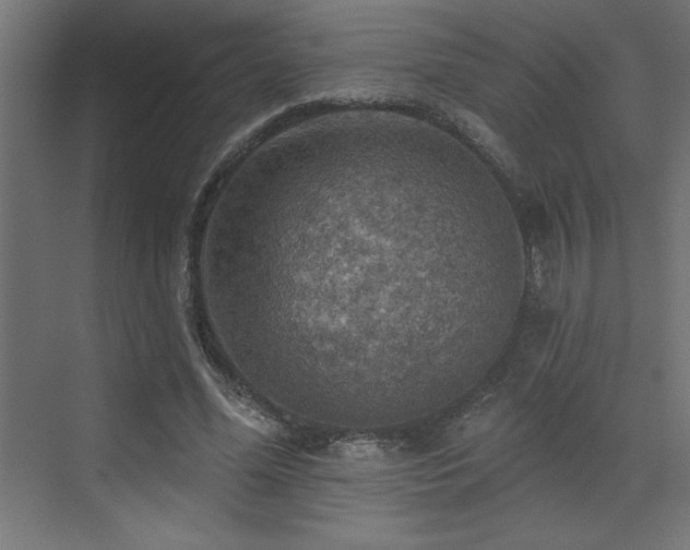 X0000072970588200607211225