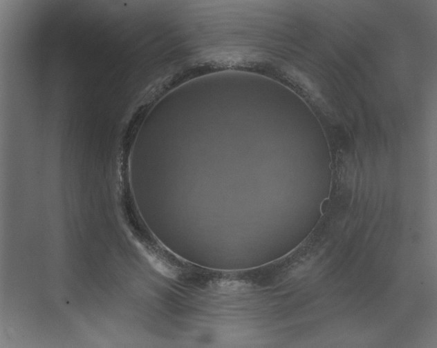 X0000072970590200607211225