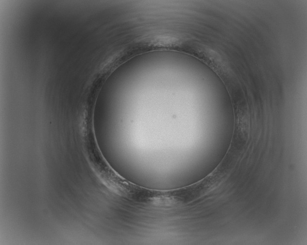 X0000072970591200607211225