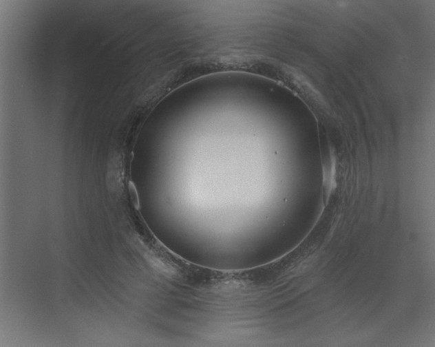 X0000072970593200607211225