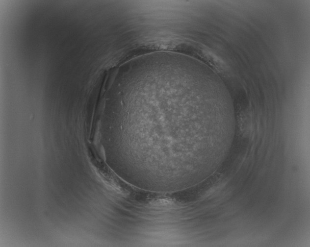 X0000072970594200607211225