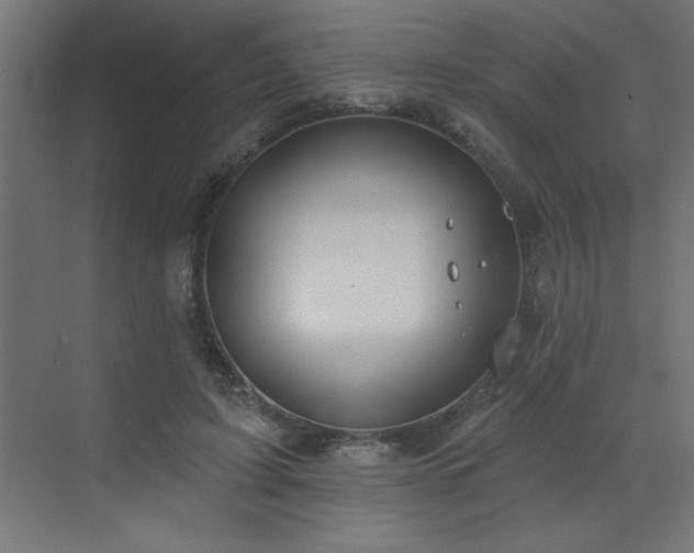 X0000072970595200607211225