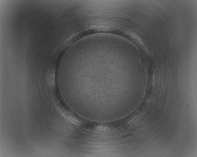 X0000072970596200607211225