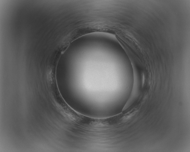 X0000072970597200607211225