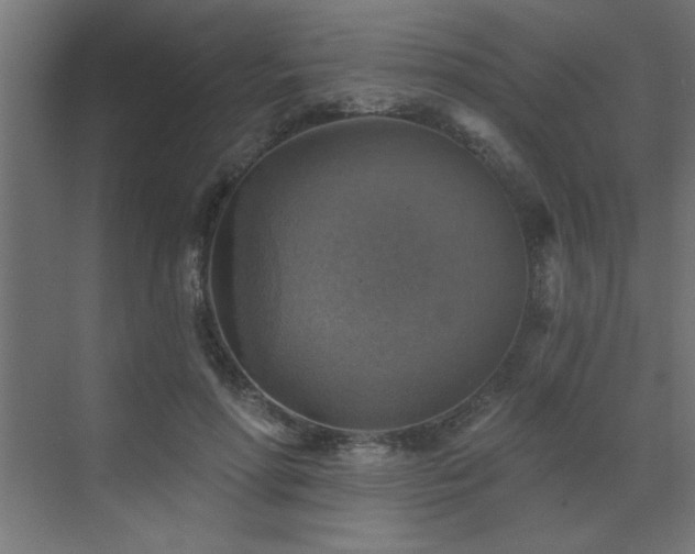 X0000072970598200607211225