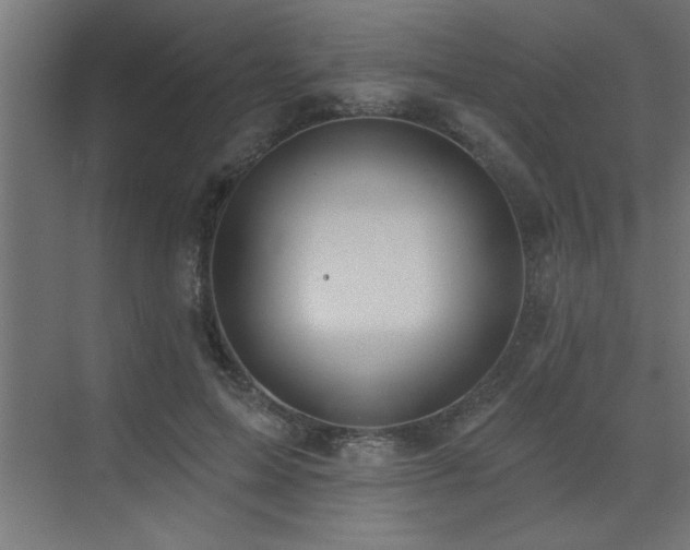 X0000072970599200607211225