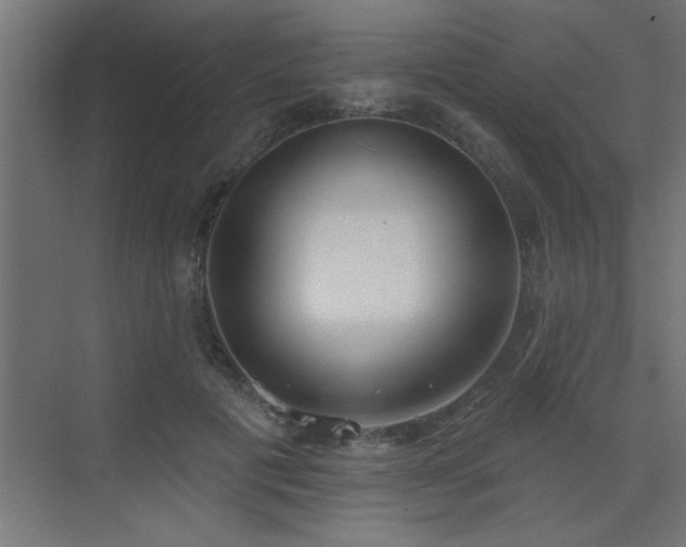 X0000072970601200607211225