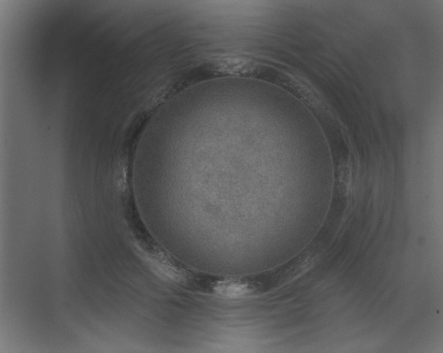 X0000072970602200607211225