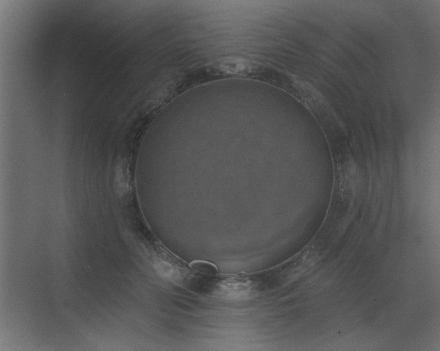 X0000072970606200607211225