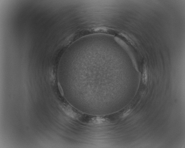 X0000072970607200607211225