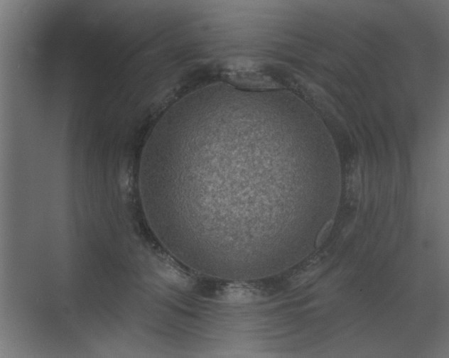 X0000072970608200607211225