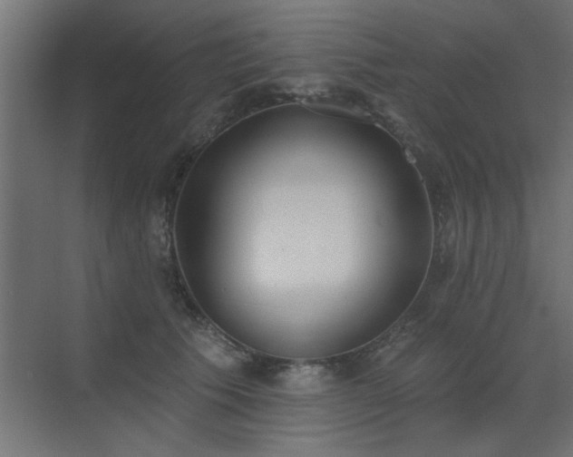 X0000072970609200607211225