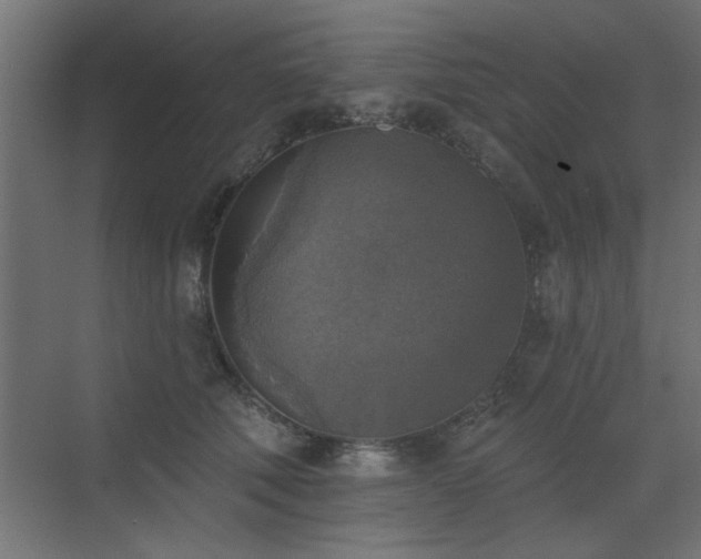 X0000072970610200607211225