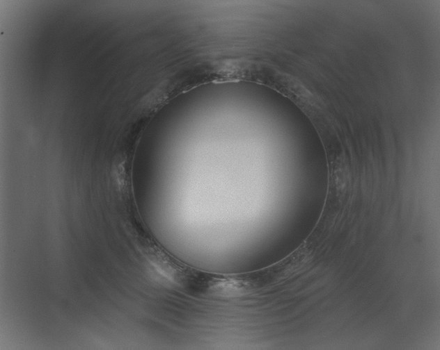 X0000072970611200607211225