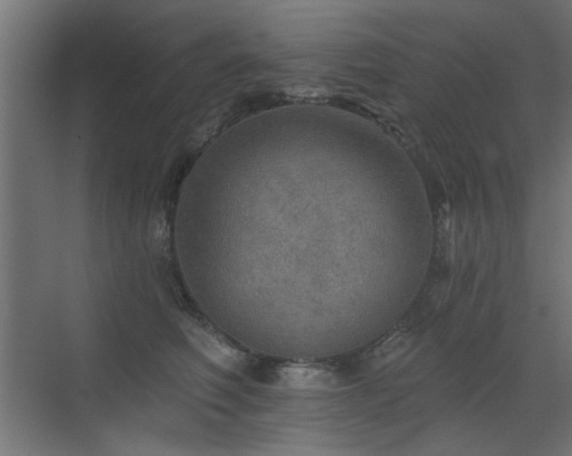 X0000072970614200607211225