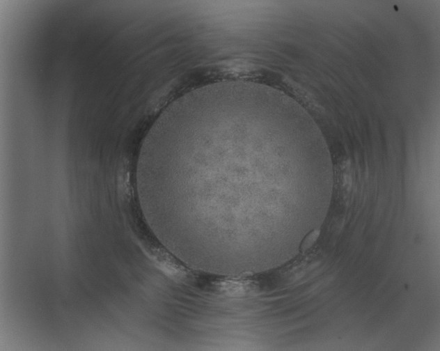 X0000072970615200607211225