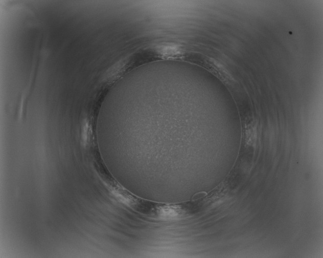 X0000072970618200607211225