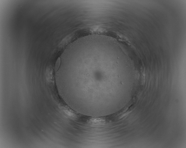 X0000072970619200607211225