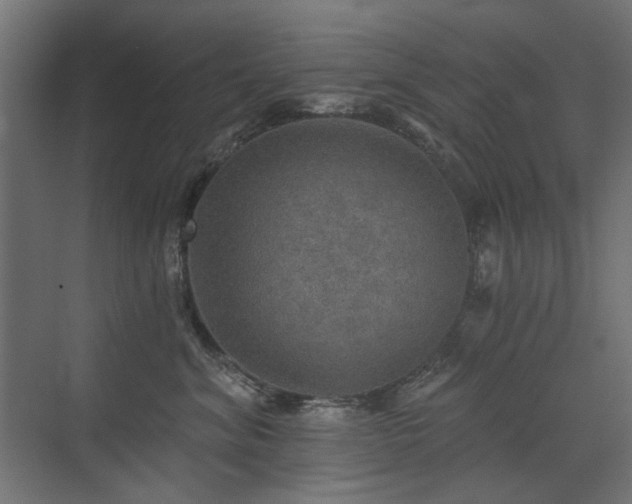 X0000072970620200607211225