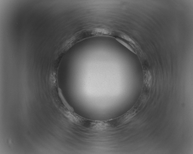 X0000072970621200607211225