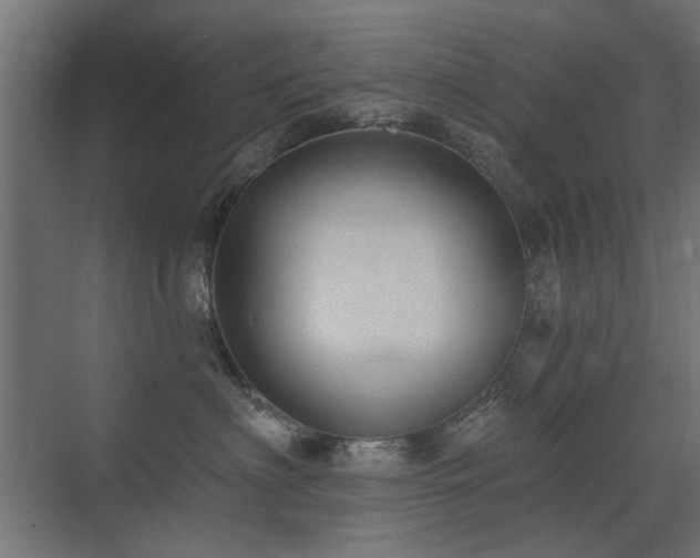 X0000072970622200607211225