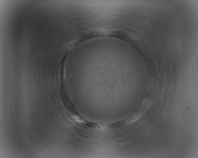 X0000072970624200607211225