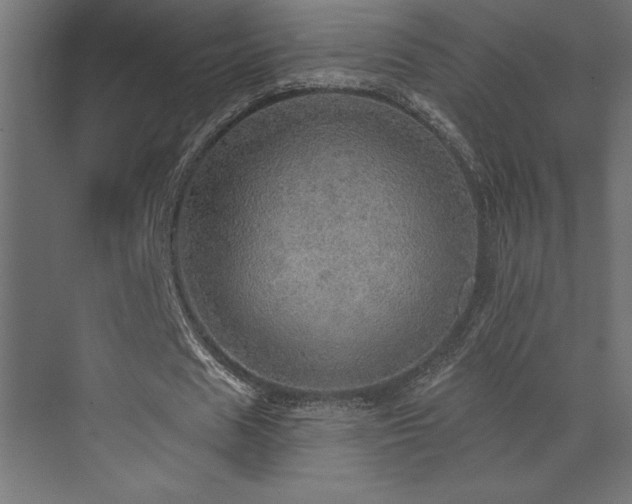 X0000072970625200607211224