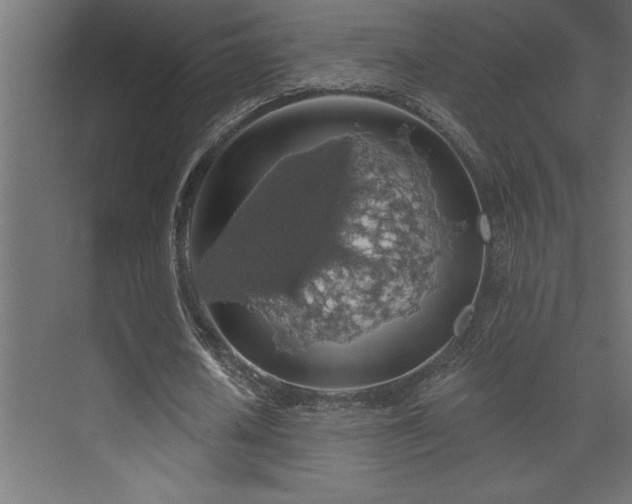 X0000072970626200607211224