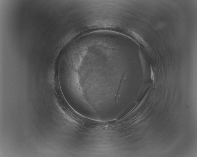 X0000072970627200607211224