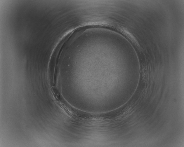 X0000072970628200607211224