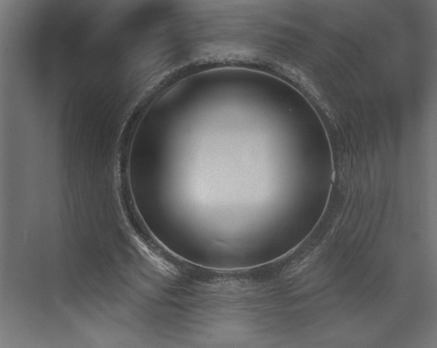 X0000072970629200607211224