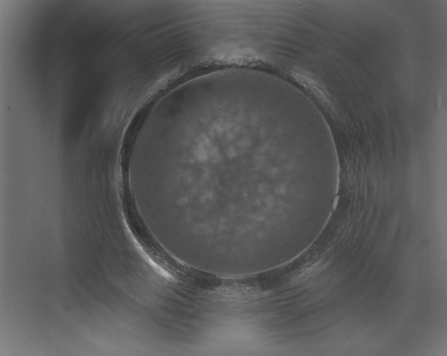 X0000072970630200607211224