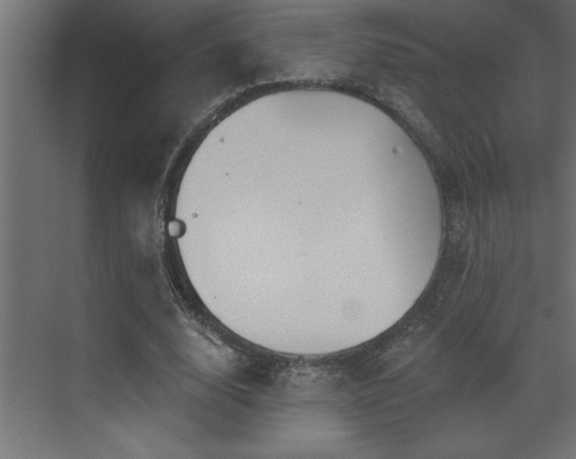 X0000072970632200607211224