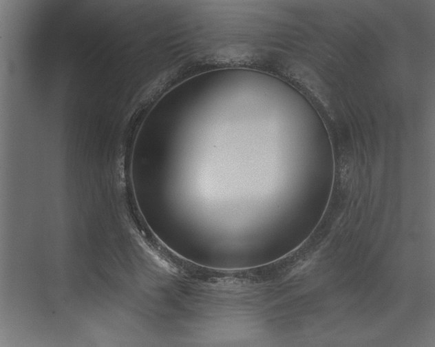 X0000072970633200607211224