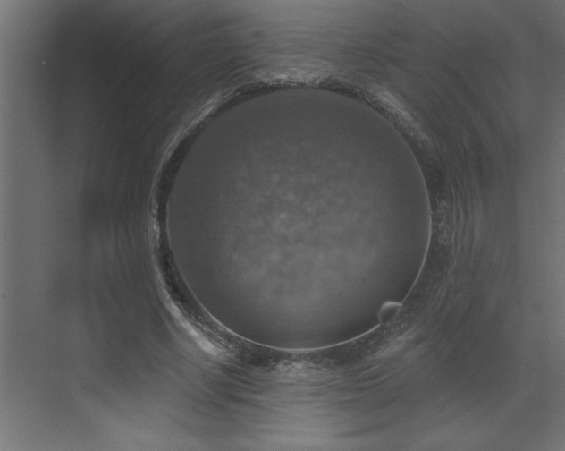 X0000072970634200607211224