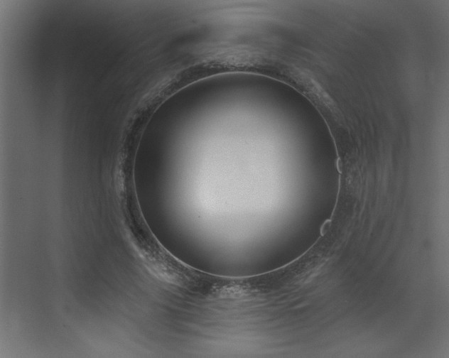 X0000072970635200607211224