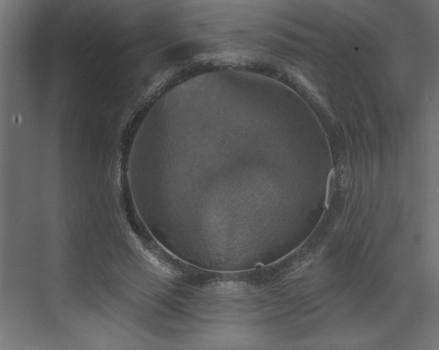 X0000072970637200607211224