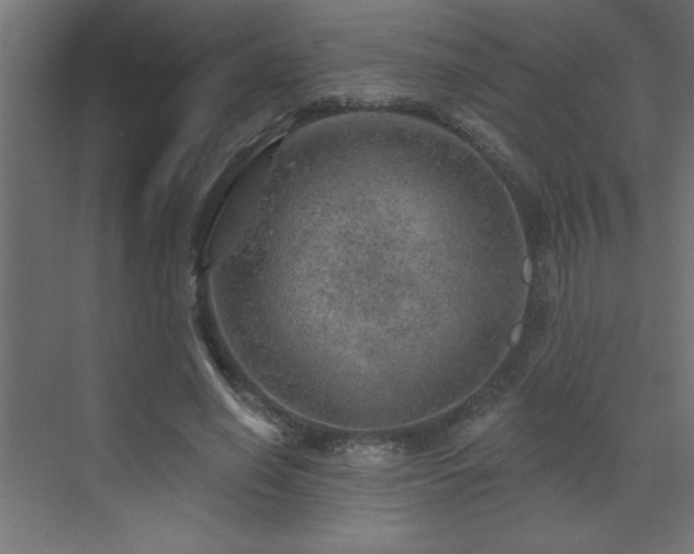 X0000072970638200607211224