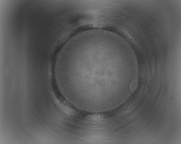 X0000072970639200607211224