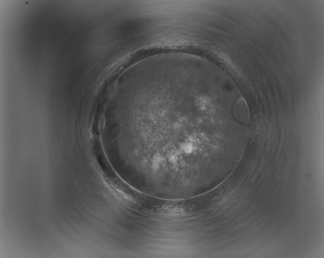 X0000072970640200607211224