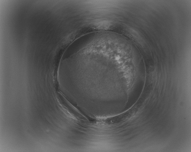 X0000072970641200607211224