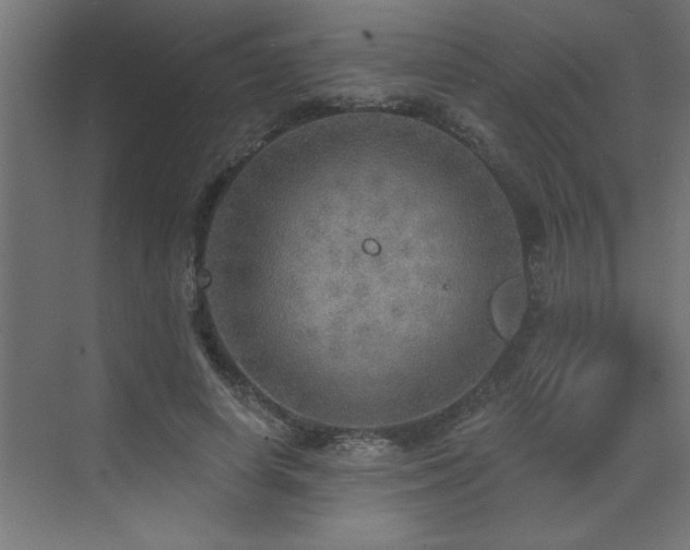 X0000072970642200607211224