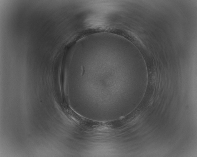 X0000072970643200607211224