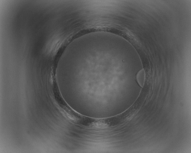 X0000072970644200607211224