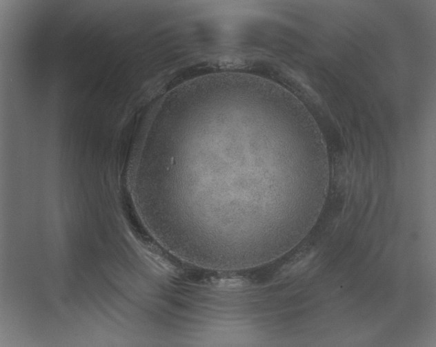 X0000072970645200607211224