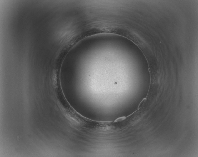 X0000072970646200607211224